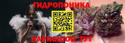 амф Камышлов