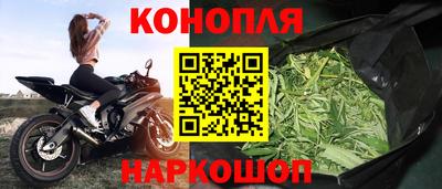 амф Камышлов