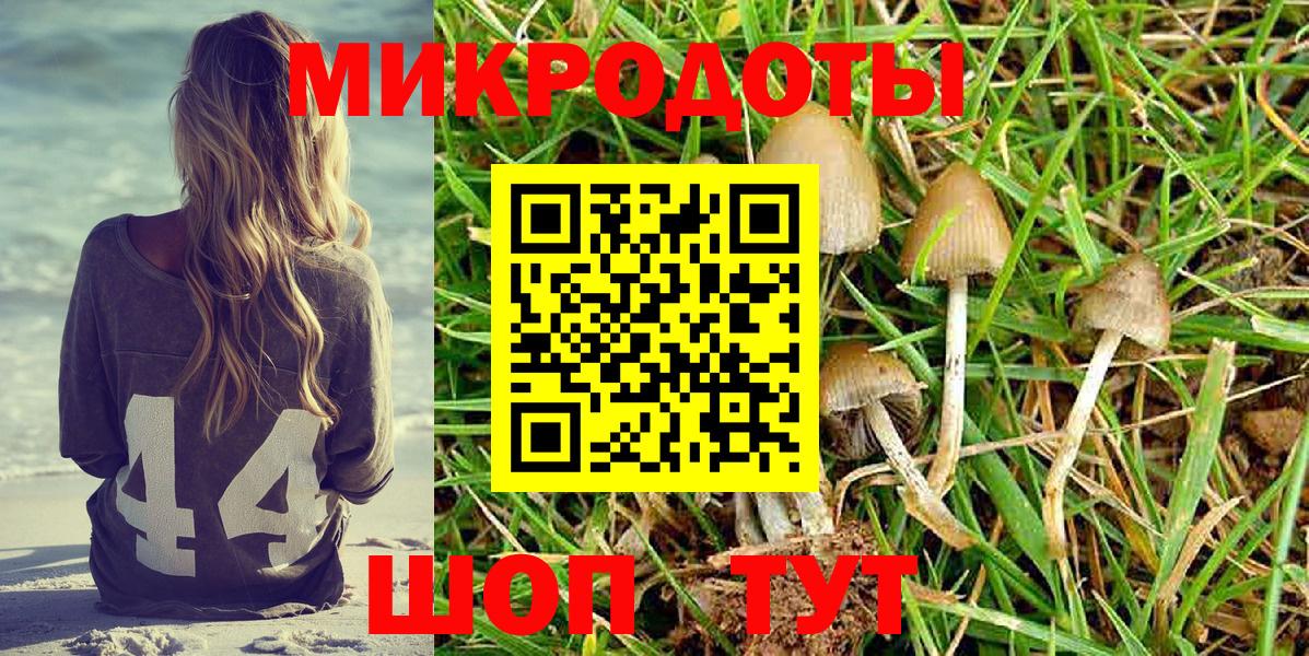 Галлюциногенные грибы MAGIC MUSHROOMS Кохма
