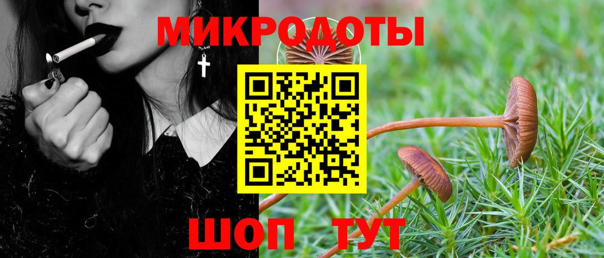 Псилоцибиновые грибы Psilocybe  Псилоцибиновые грибы мухоморы  Вход с VPN  как найти   Кохма 