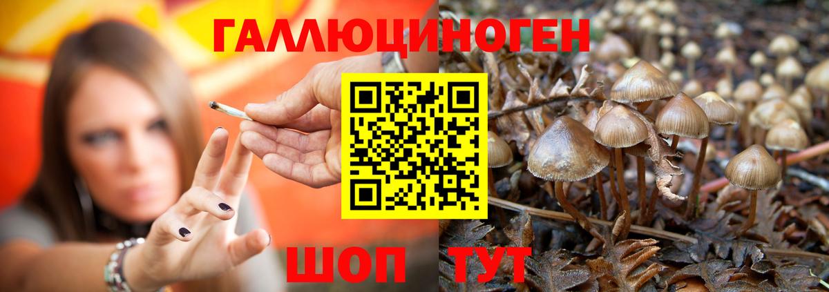 Марихуана  Вход с VPN  Меф МЯУ МЯУ   Кохма  Конопля  Экстази  ГАШ  Cocaine 